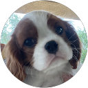 Maureen Pazeky profile picture